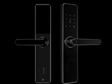 青松沃德-Wi-Fi 指紋鎖家用防盜門(mén)智能門(mén)鎖密碼鎖刷卡電子鎖 防磁干擾 防撬 L9-WT (不含鎖體，鎖體需另購(gòu)）